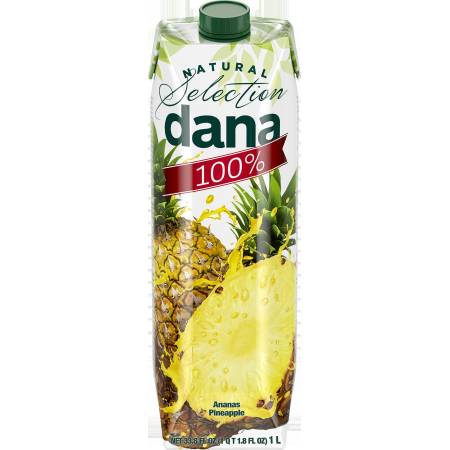 SUCCO ANANAS 100% L.1